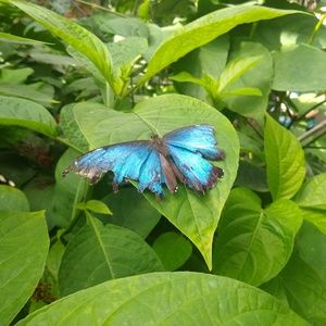 Meet your Posher, Dana